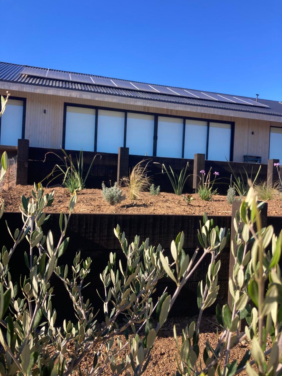Terrazas de durmientes con plantas nativas frente a la casa del proyecto Sirena