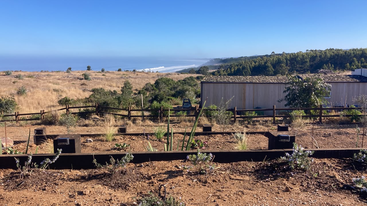 Vista al mar desde las jardineras recién plantadas del proyecto Sirena