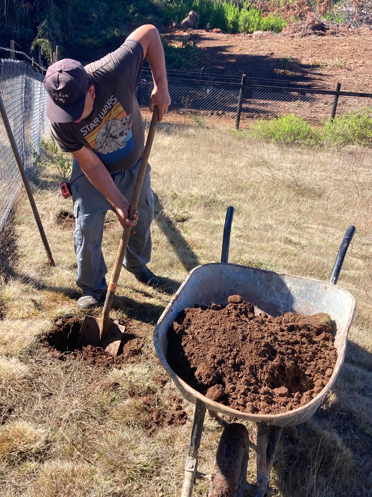 Trabajo de plantación con tierra de buena calidad en el proyecto Daniela