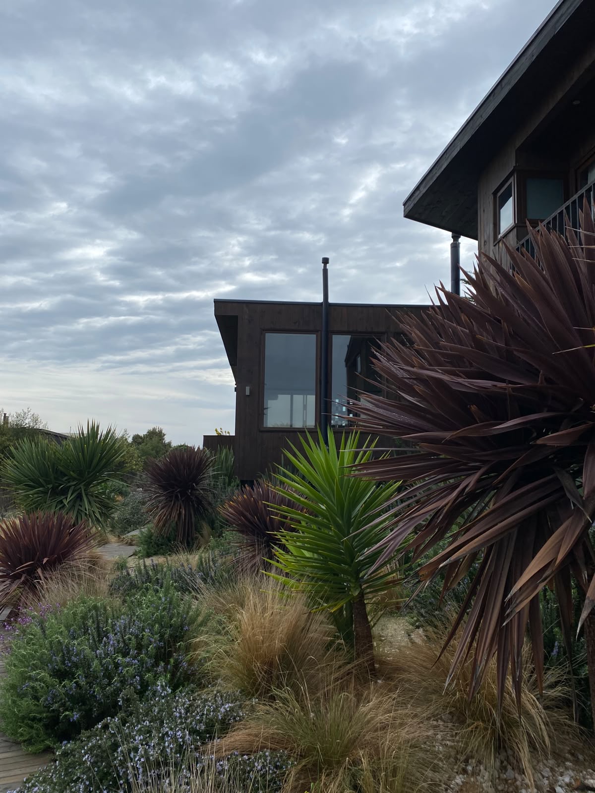 Jardín xerófito con cordylines rojas, yucas y gramíneas junto a la casa de madera