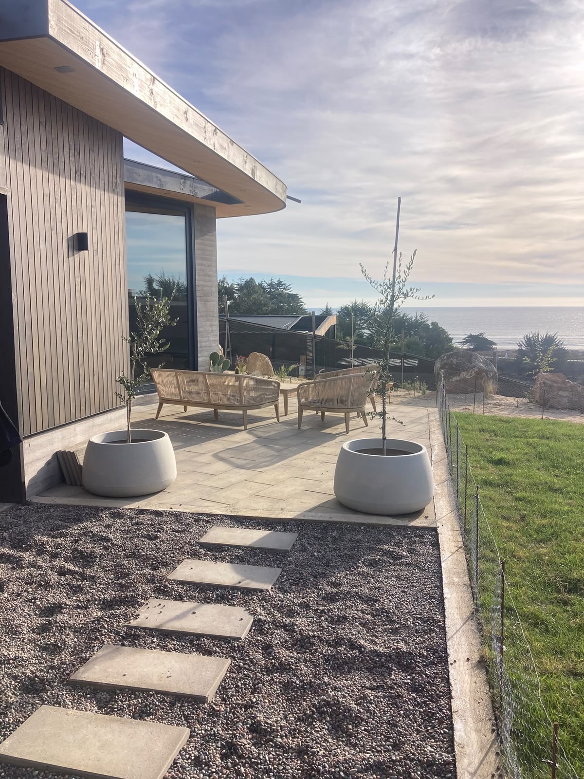 Terraza con olivos en maceteros y pasos de piedra sobre gravilla