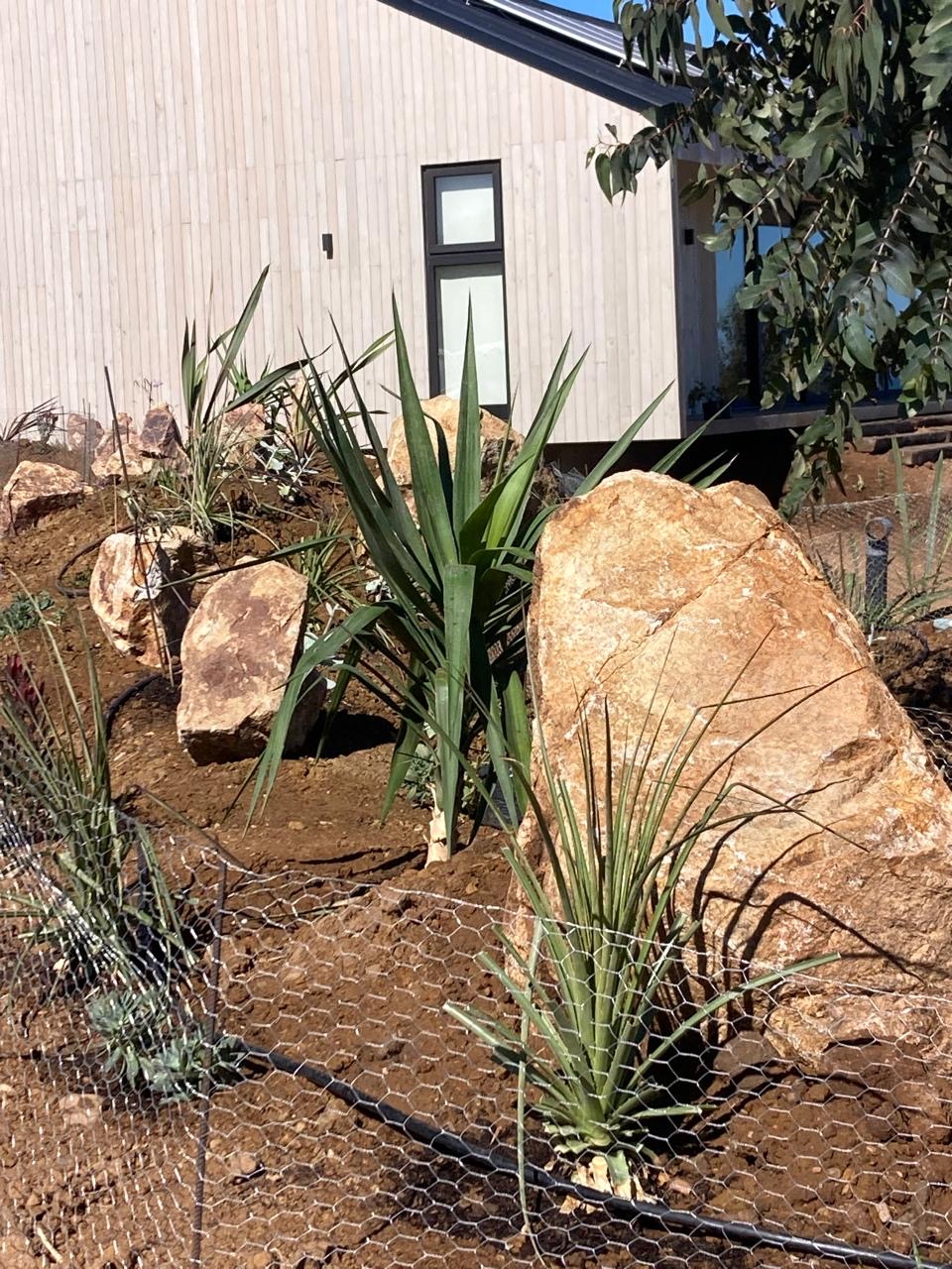Rocas y vegetación xerófila en el acceso del jardín Sirena