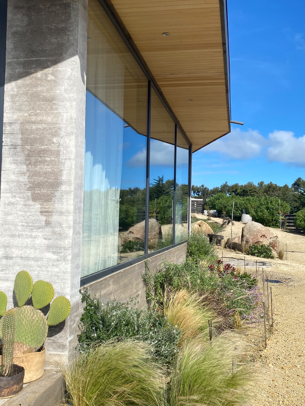 Jardín xerófilo de gramíneas y cactus junto a una casa de hormigón y vidrio