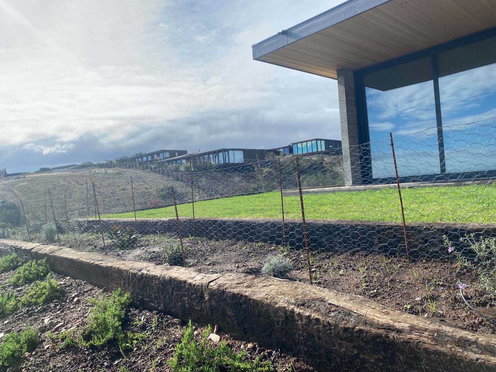 Jardineras de durmientes y zona de pasto en el jardín mediterráneo Mauren