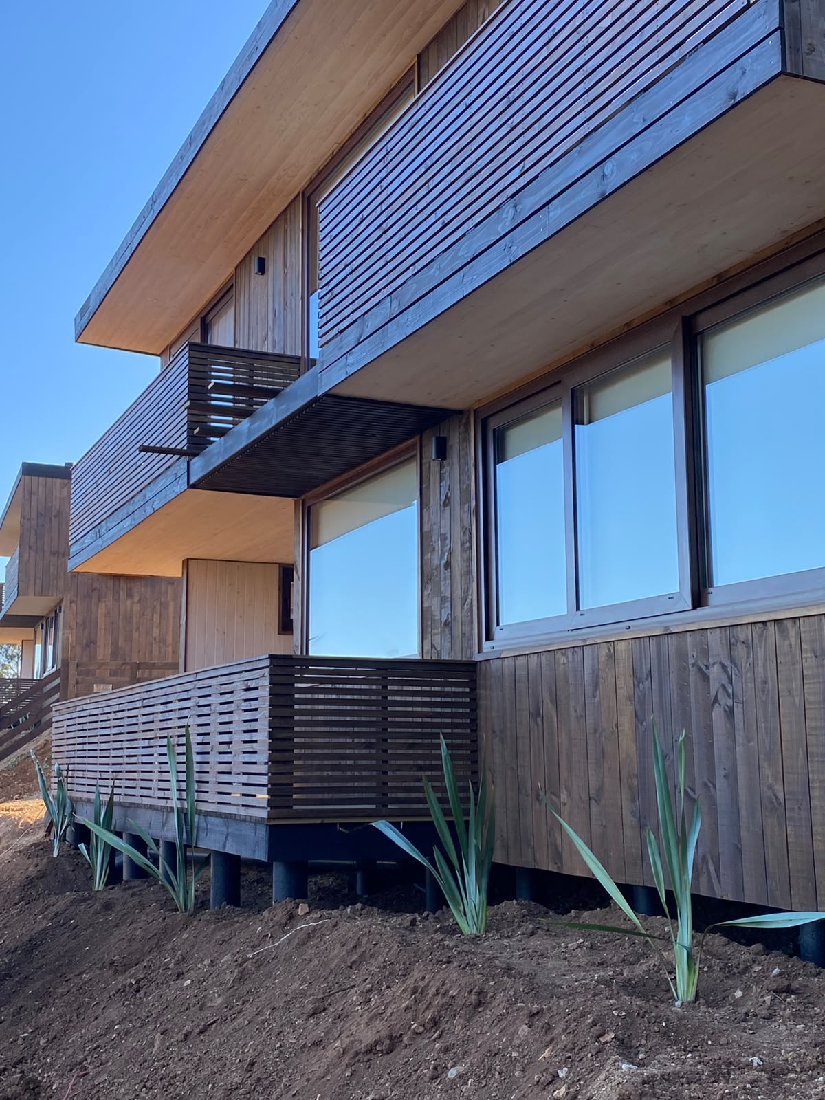 Fórmiums plantados al pie de la terraza de madera del condominio Remi