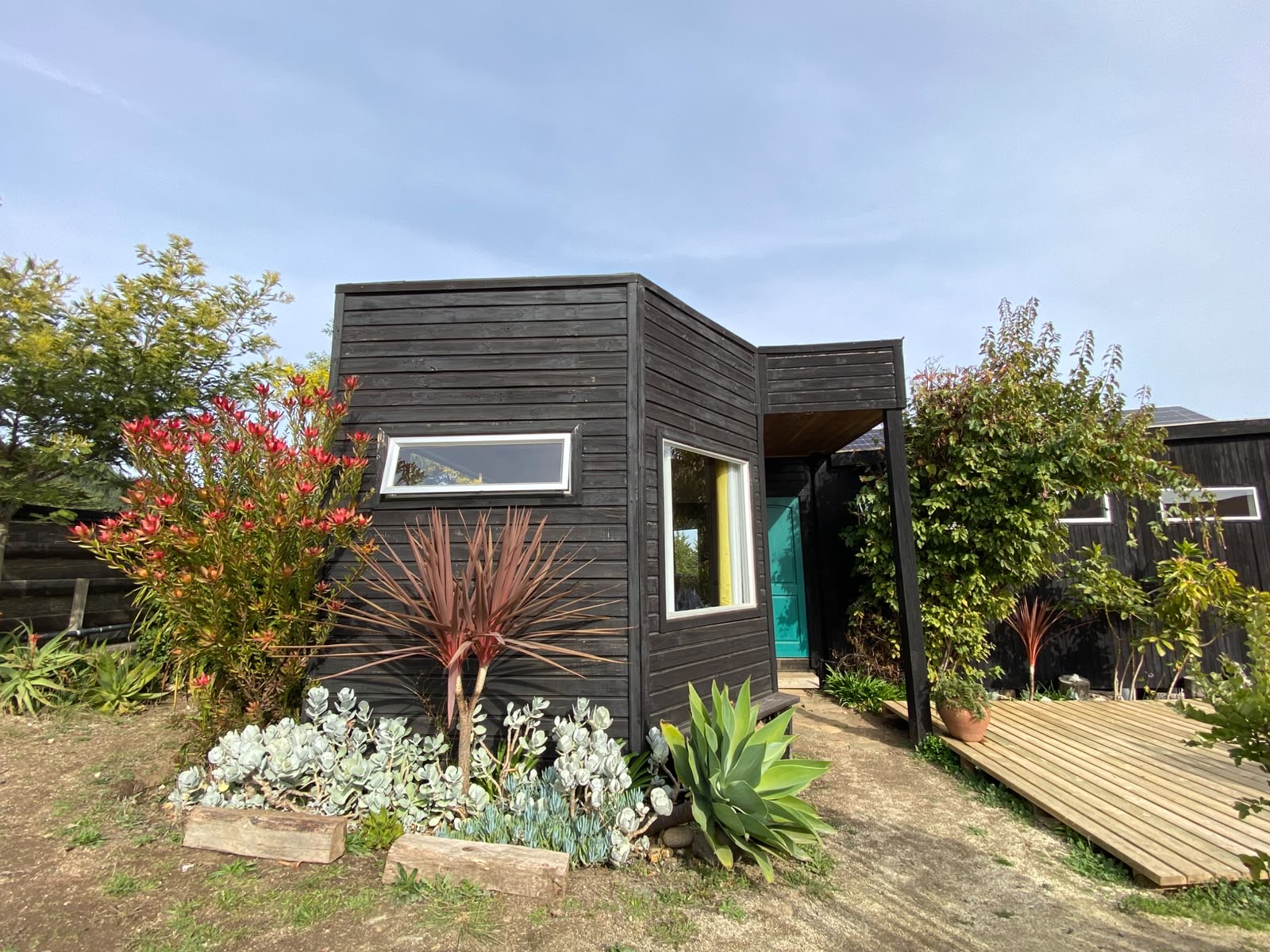 Jardín xerófilo con cabaña de madera negra, suculentas y Leucadendro