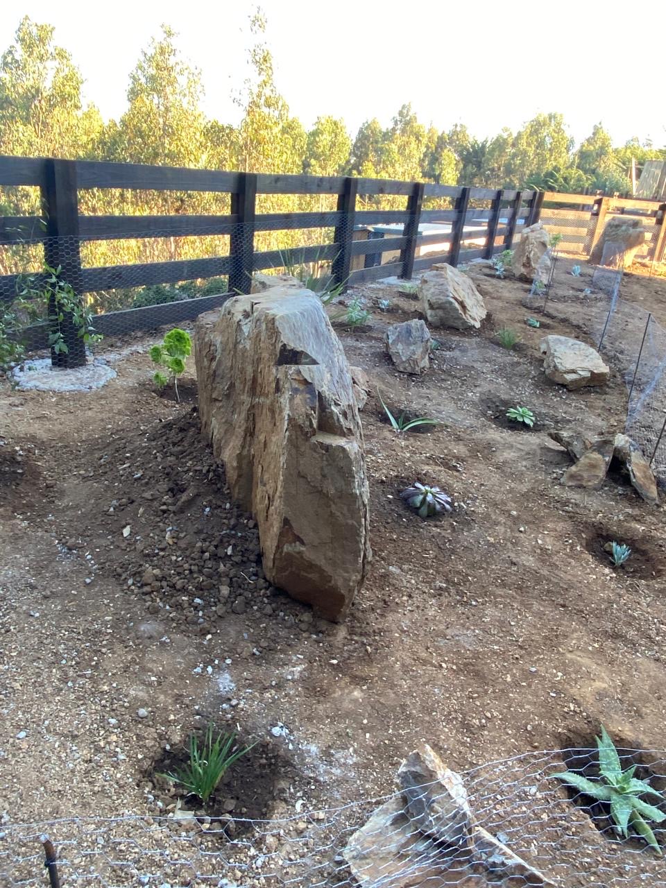 Rocas y plantaciones nuevas en las áreas comunes del condominio Remi