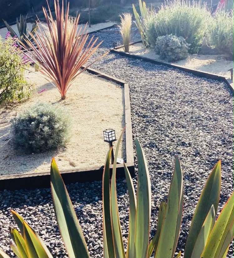 Detalle de cordyline y cubresuelos entre zonas de maicillo y gravilla