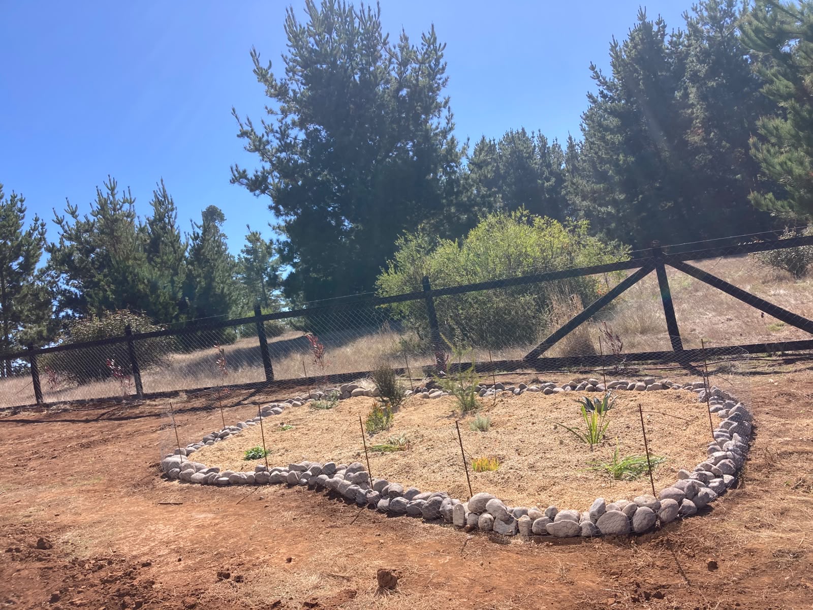 Jardinera curva delimitada con piedras y recién plantada en el proyecto Daniela