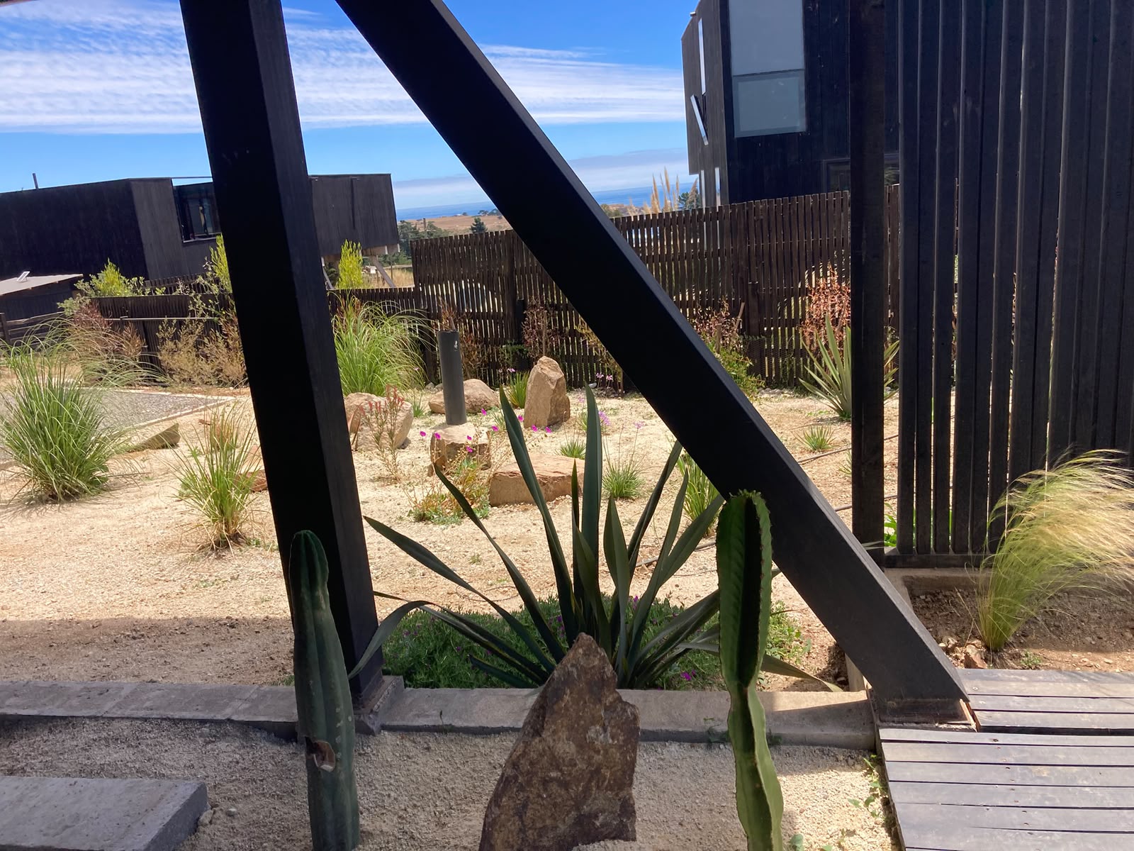 Jardín xerófilo con gravilla, rocas y cactus con vista al mar en Punta de Lobos