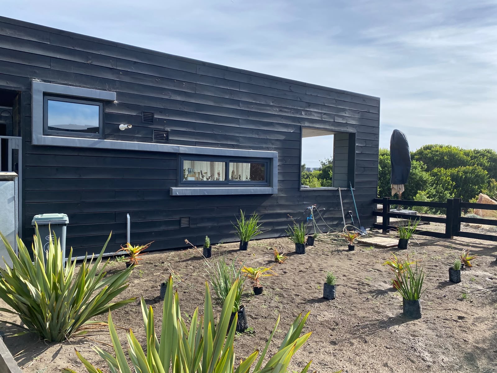 Plantación recién instalada sobre arena junto a la casa negra del Condominio Endémico